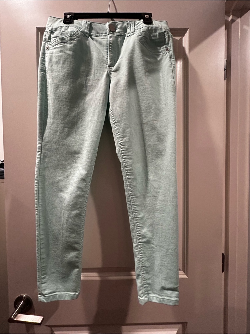Democracy Mint Green Skinny Jeans